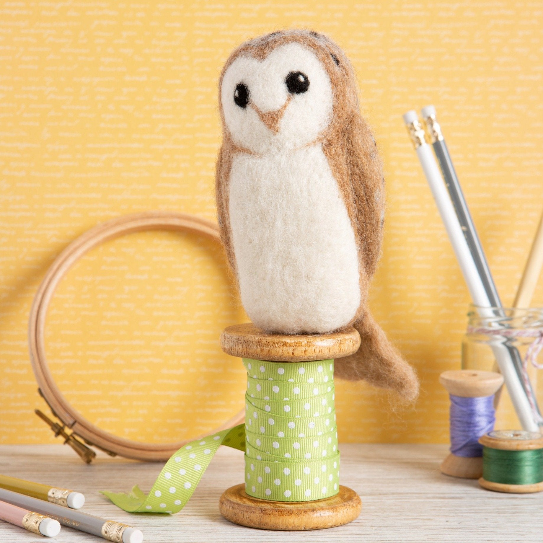 Barn Owl Needle Felting Kit