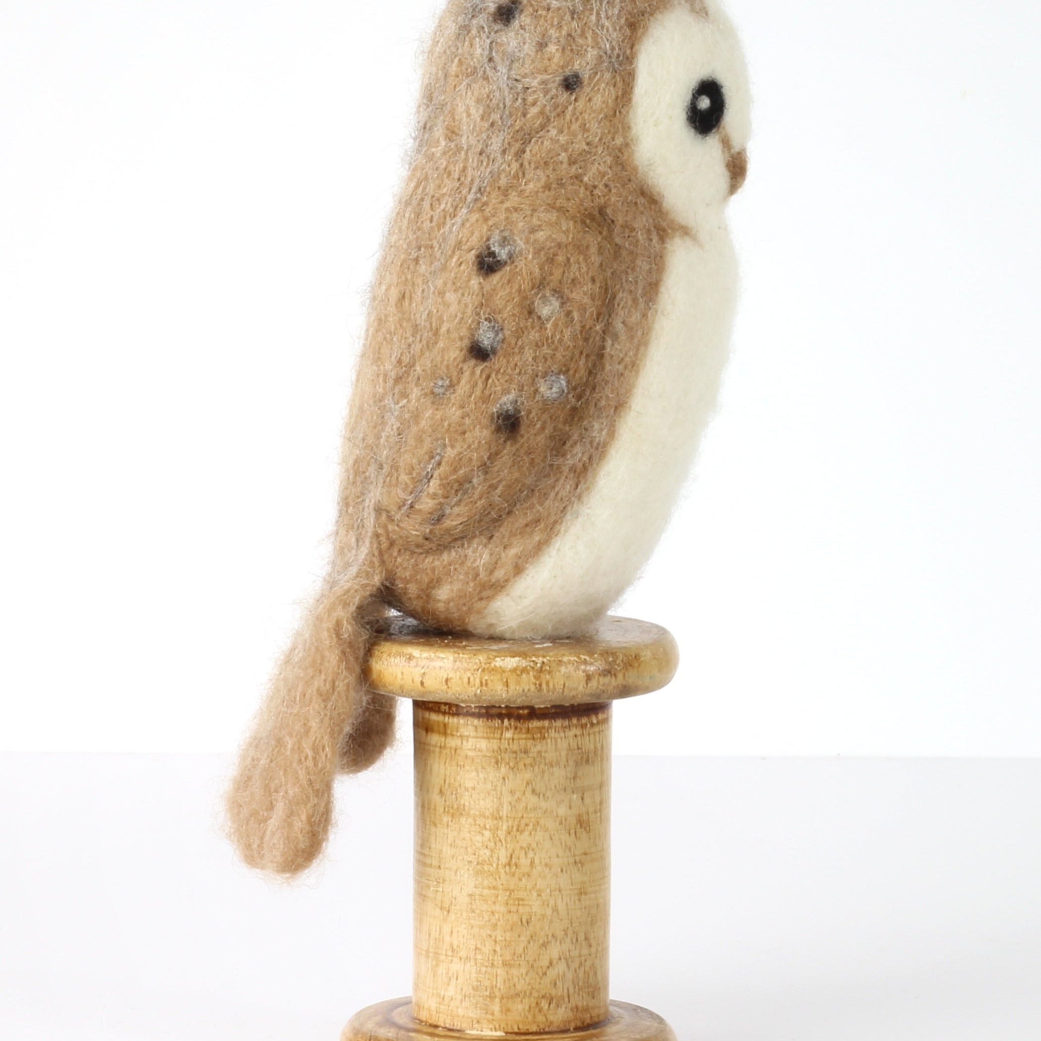 Barn Owl Needle Felting Kit