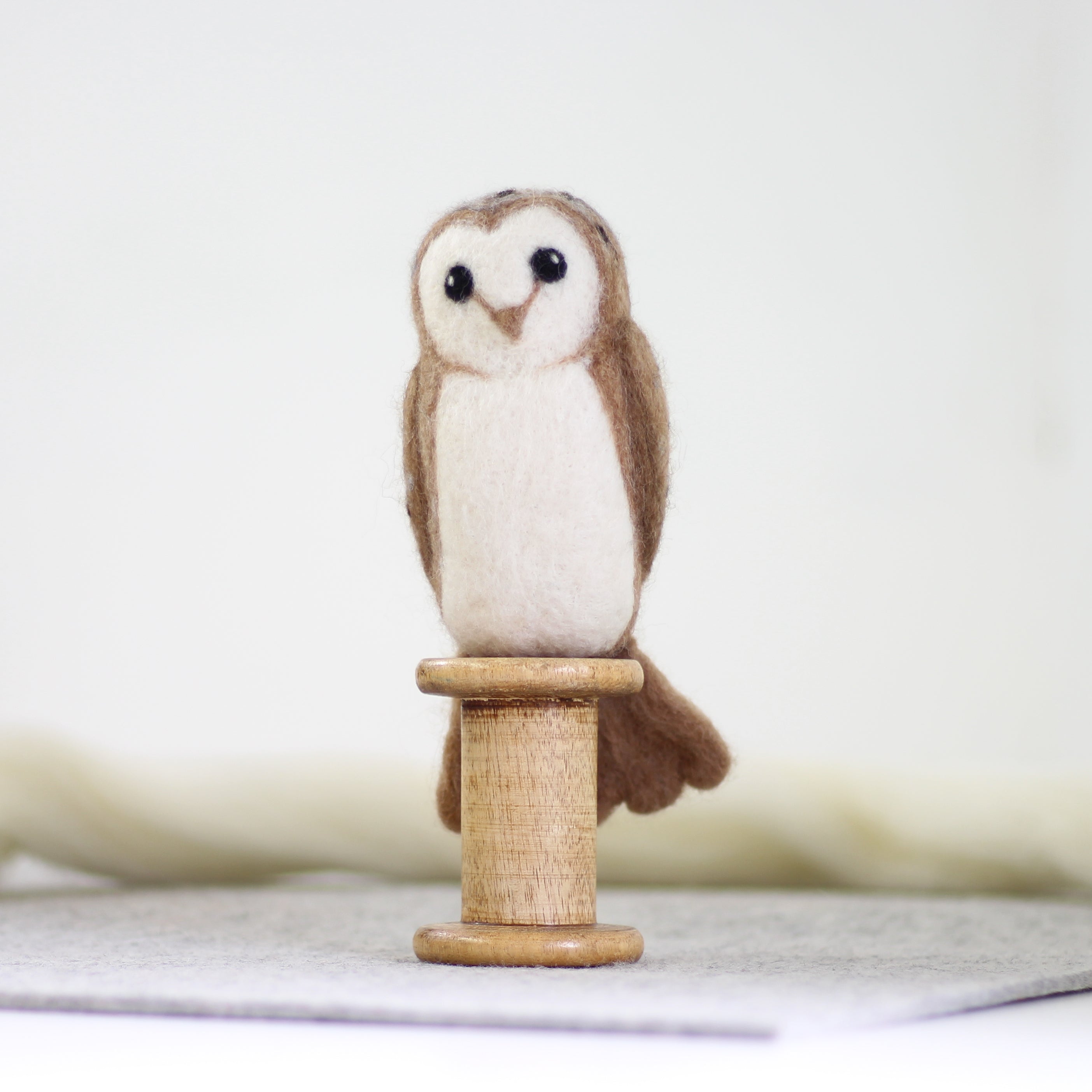 Large Needle Felting Kits