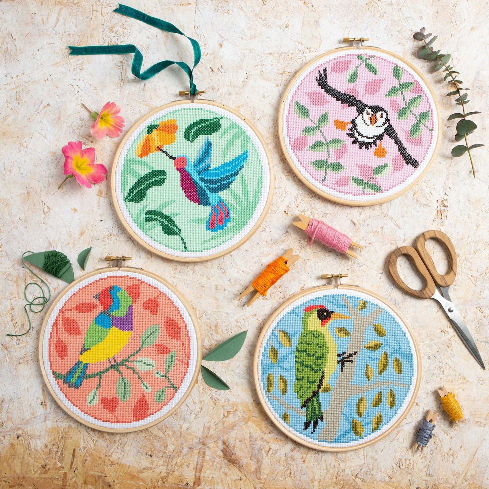 Rainbow Finch Cross Stitch Kit - Stitched Modern