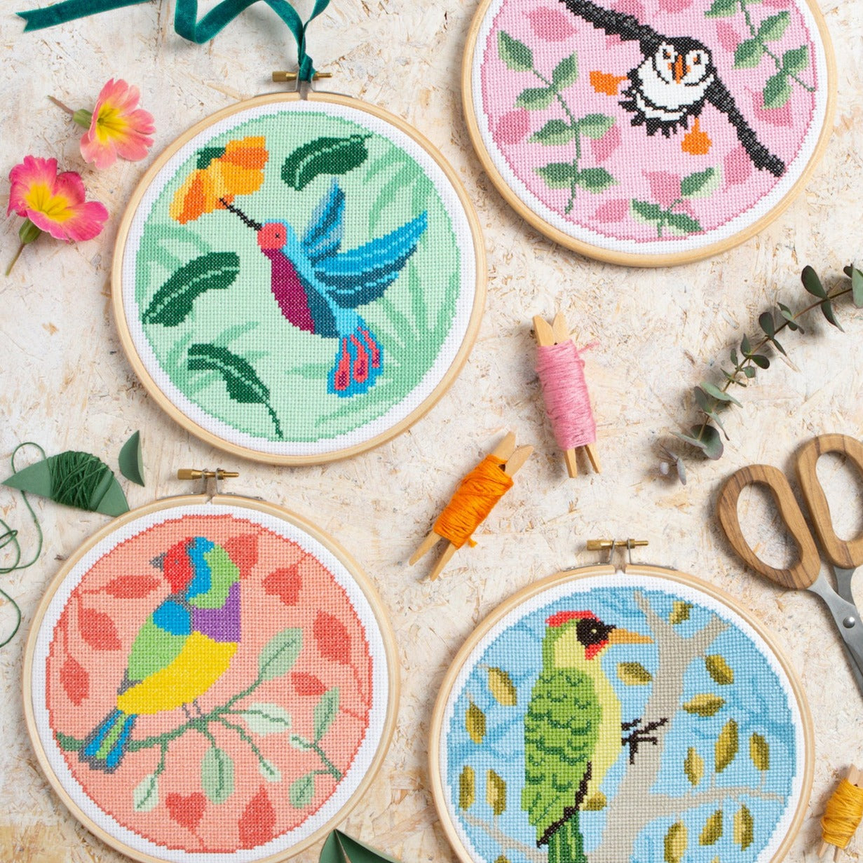 Rainbow Finch Cross Stitch Kit - Stitched Modern