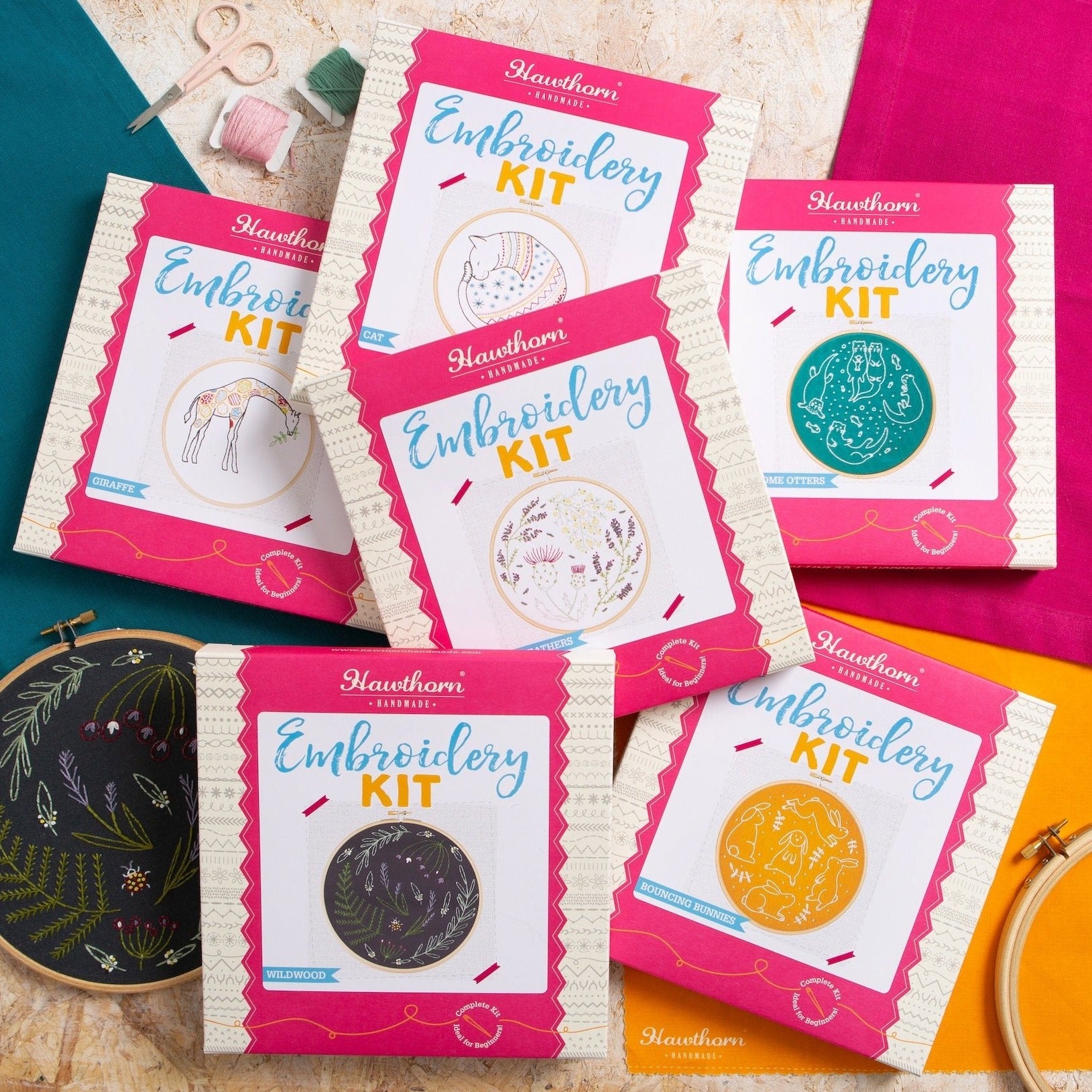 Six embroidery kit boxes displayed with one botanical embroidery kit and an empty hoop on a colourful background.