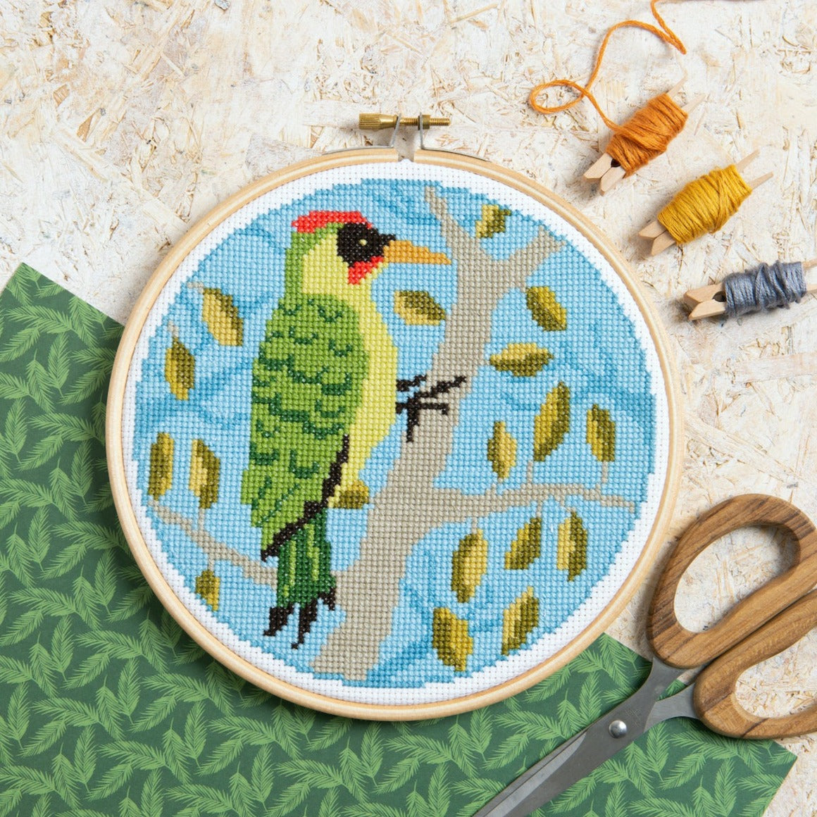 Rainbow Finch Cross Stitch Kit - Stitched Modern