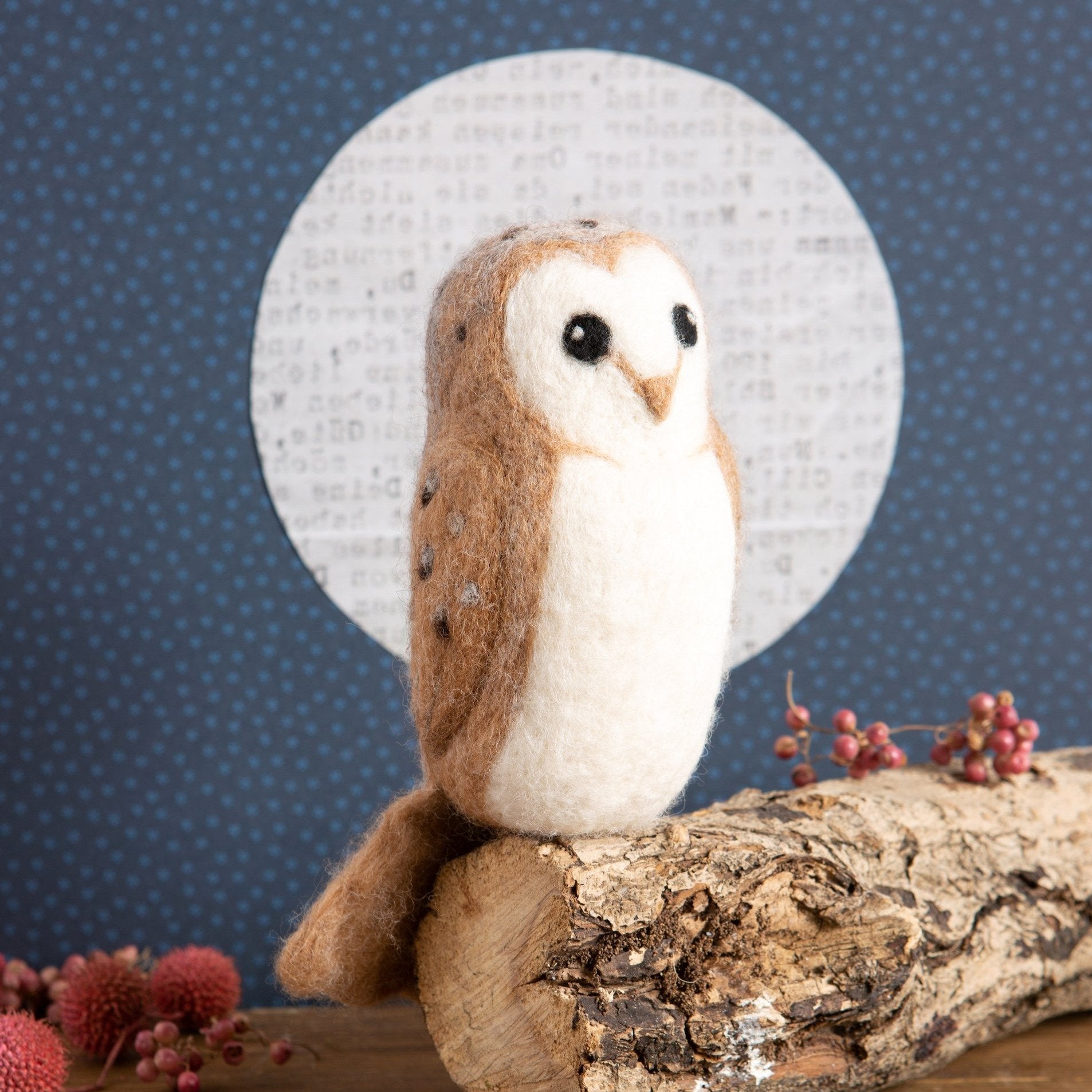 Barn Owl Needle Felting Kit