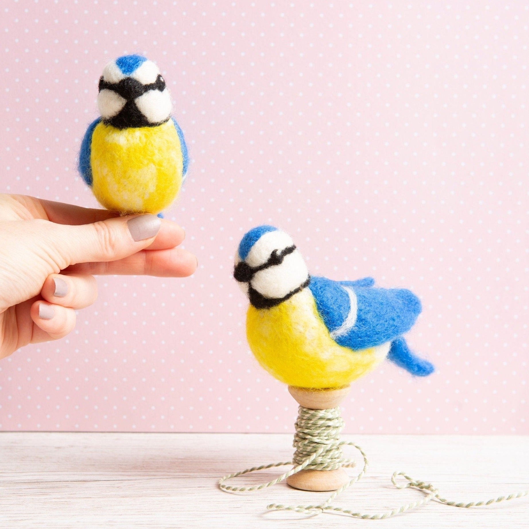 Blue Tits Needle Felting Kit