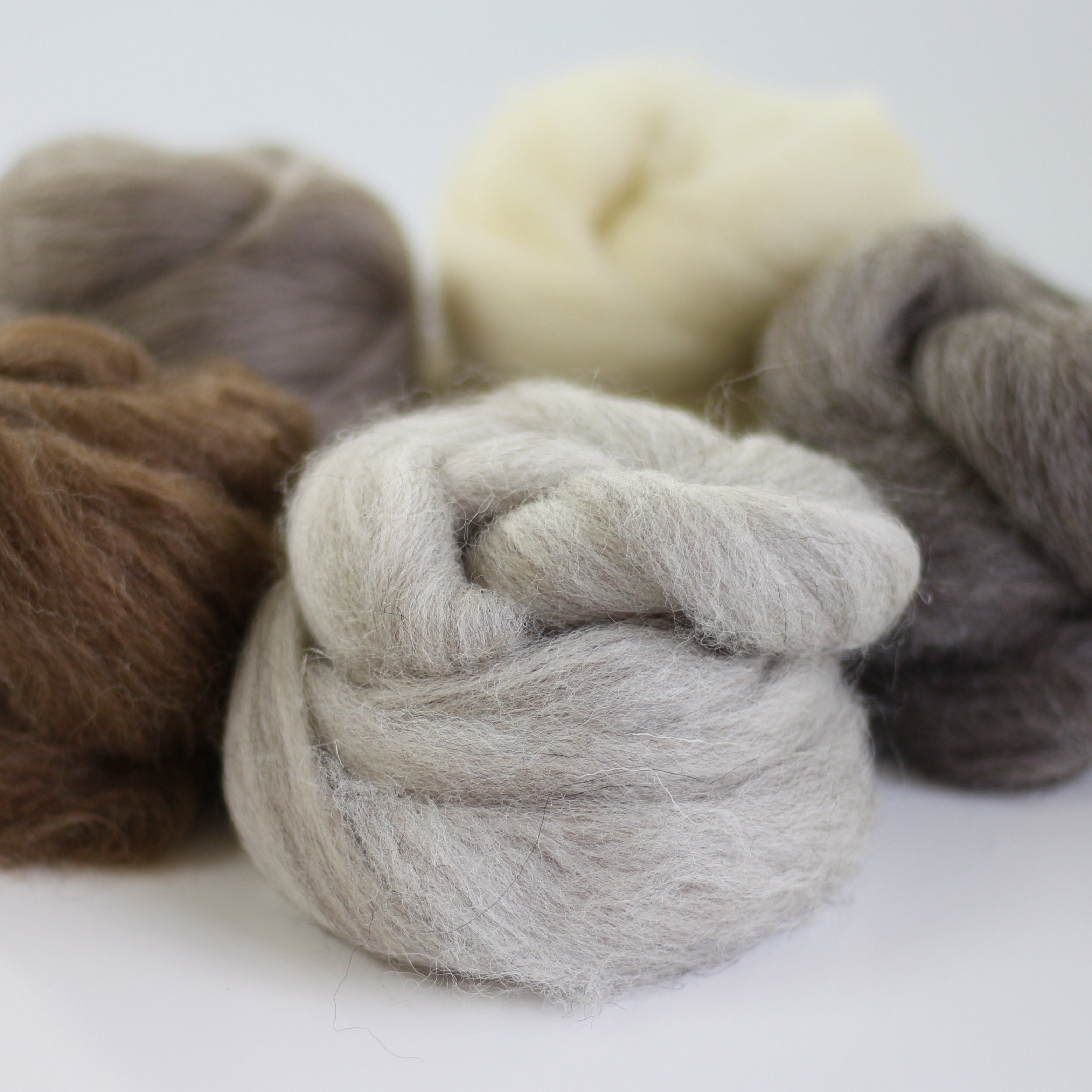 British Breeds Wool Bundle No.1