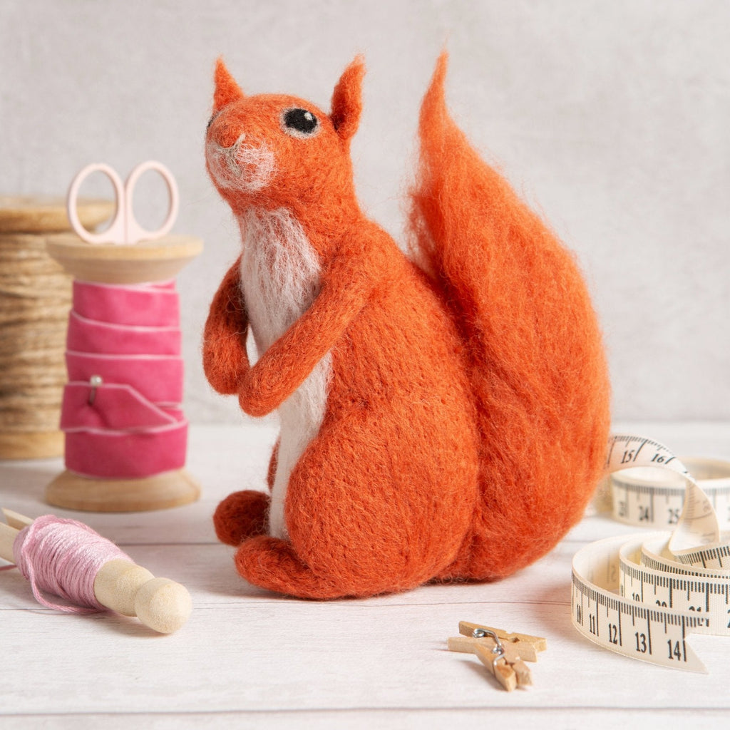Red Squirrel Needle Felting Kit