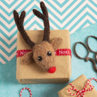 Rudolph Brooch Needle Felting Kit