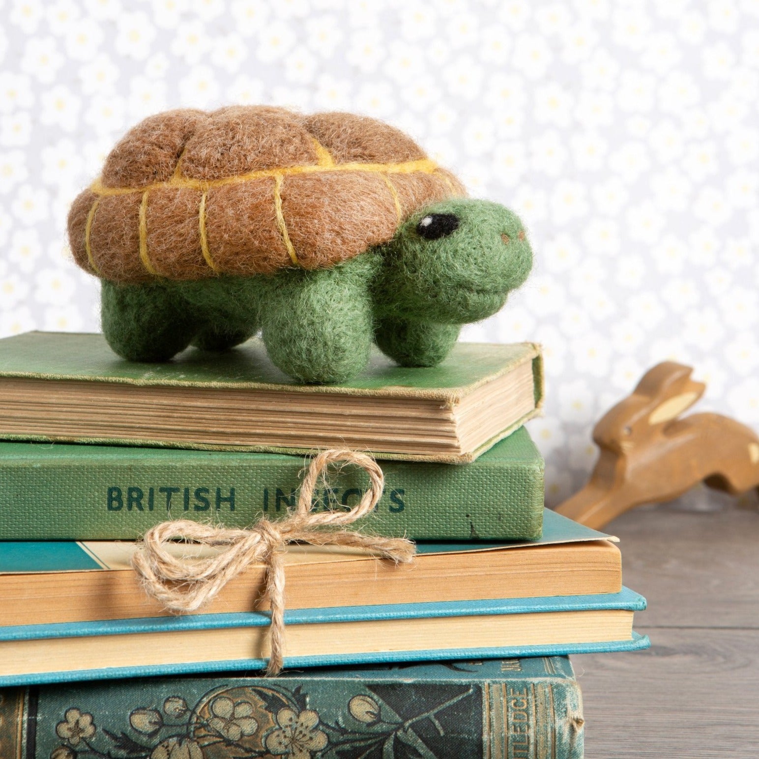 Tortoise Needle Felting Kit